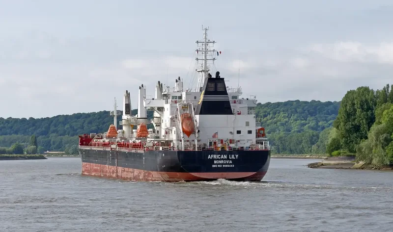 AFRICAN LILY Bulk Carrier IMO 9666443 photo 8