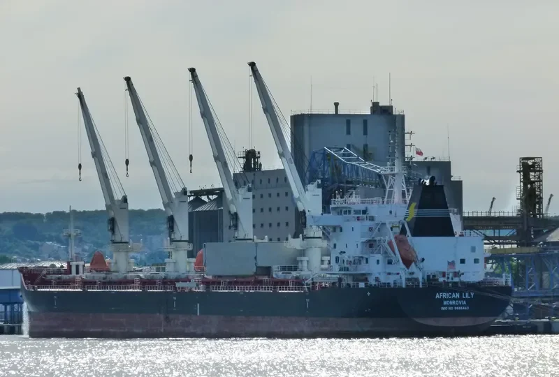 AFRICAN LILY Bulk Carrier IMO 9666443 photo 9