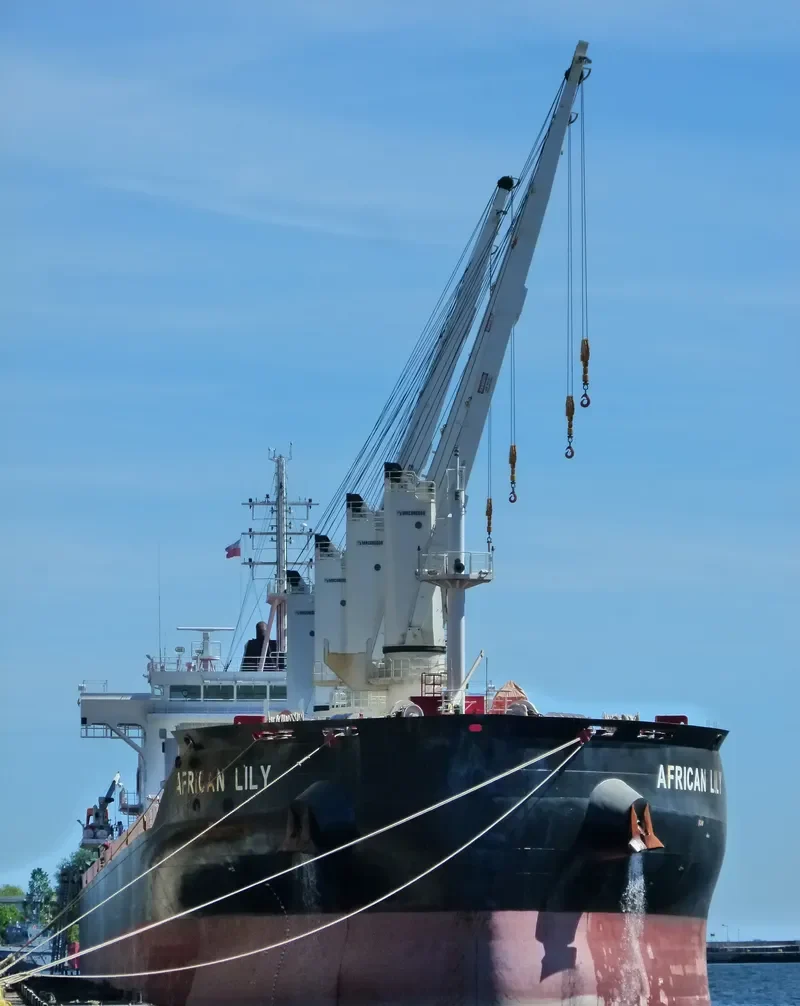 AFRICAN LILY Bulk Carrier IMO 9666443 photo 10