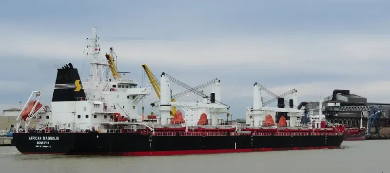 AFRICAN MAGNOLIA Bulk Carrier IMO 9666455