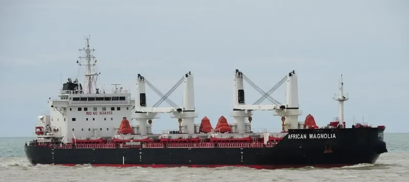 AFRICAN MAGNOLIA Bulk Carrier IMO 9666455 photo 2