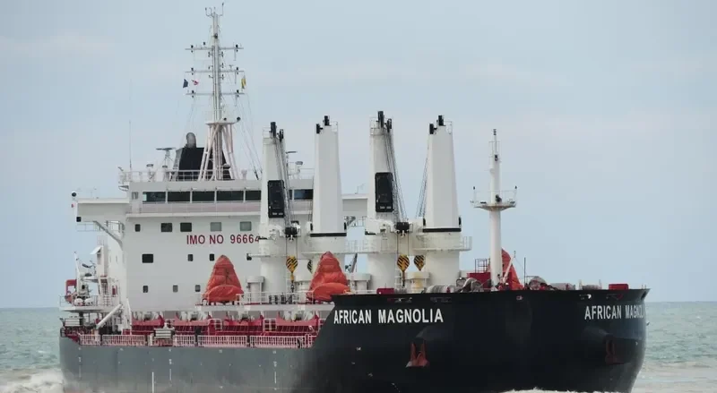 AFRICAN MAGNOLIA Bulk Carrier IMO 9666455 photo 3