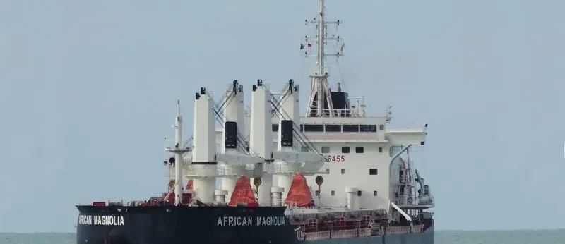 AFRICAN MAGNOLIA Bulk Carrier IMO 9666455 photo 4