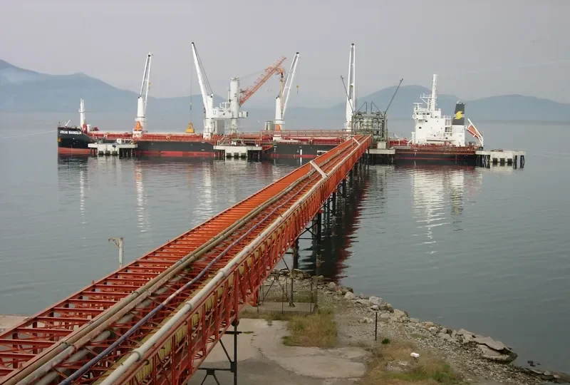 AFRICAN MAGNOLIA Bulk Carrier IMO 9666455 photo 5