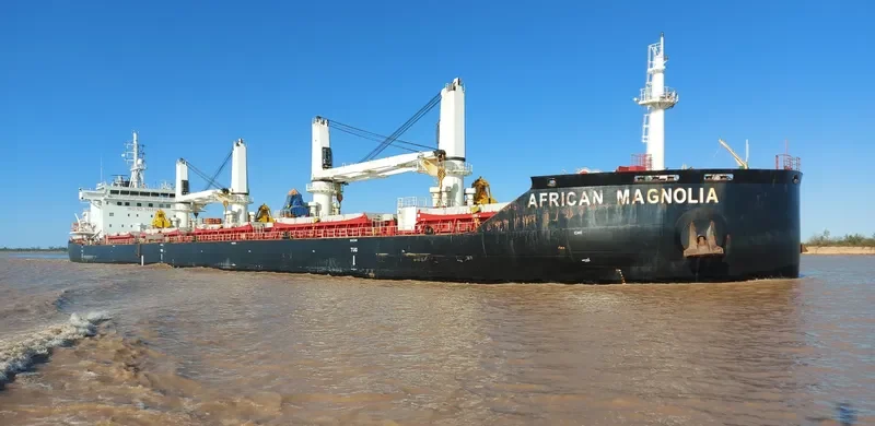 AFRICAN MAGNOLIA Bulk Carrier IMO 9666455 photo 6