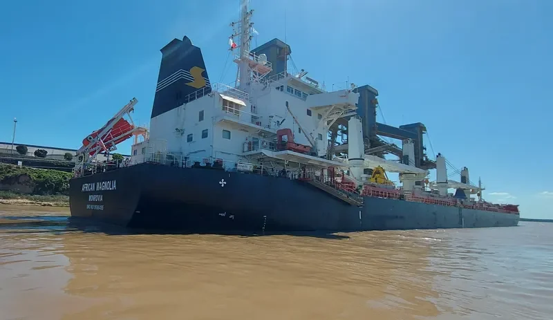 AFRICAN MAGNOLIA Bulk Carrier IMO 9666455 photo 7