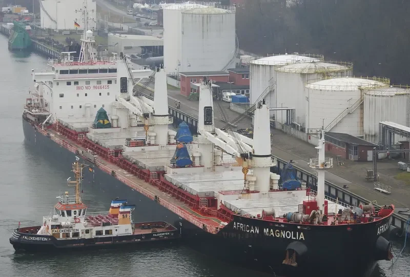 AFRICAN MAGNOLIA Bulk Carrier IMO 9666455 photo 8