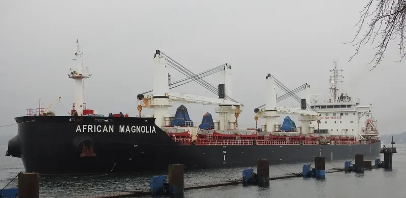 AFRICAN MAGNOLIA Bulk Carrier IMO 9666455 photo 9