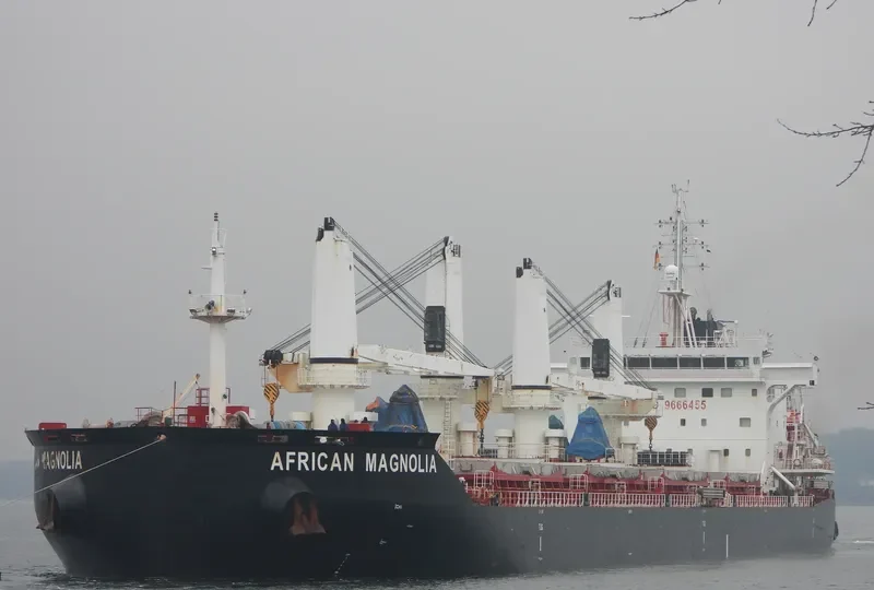 AFRICAN MAGNOLIA Bulk Carrier IMO 9666455 photo 10
