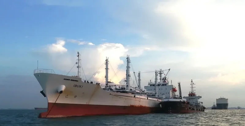 IBUKI General Cargo IMO 9666481 photo 2