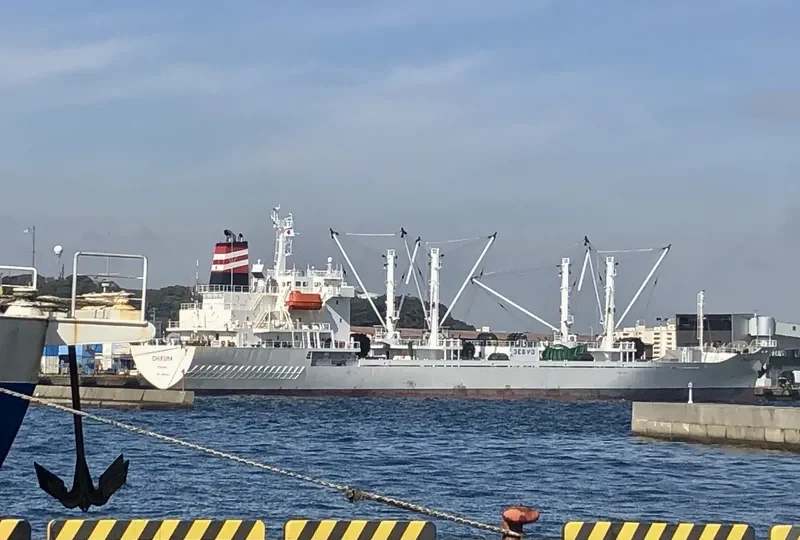 CHIKUMA General Cargo IMO 9666493 photo 8