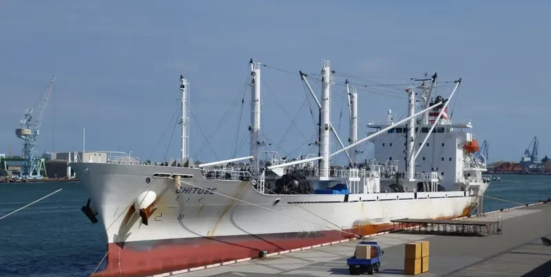 CHITOSE General Cargo IMO 9666508 photo 2