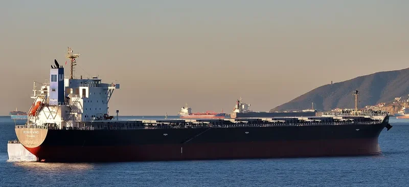 BULK PROMISE Bulk Carrier IMO 9666510