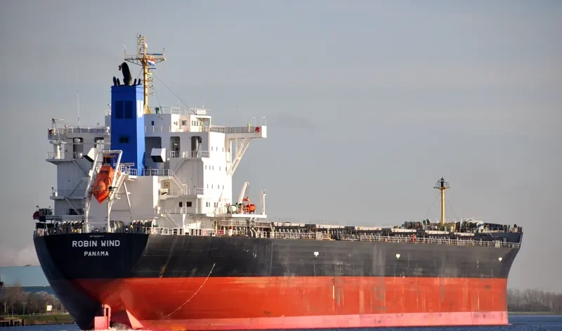 BULK PROMISE Bulk Carrier IMO 9666510 photo 2