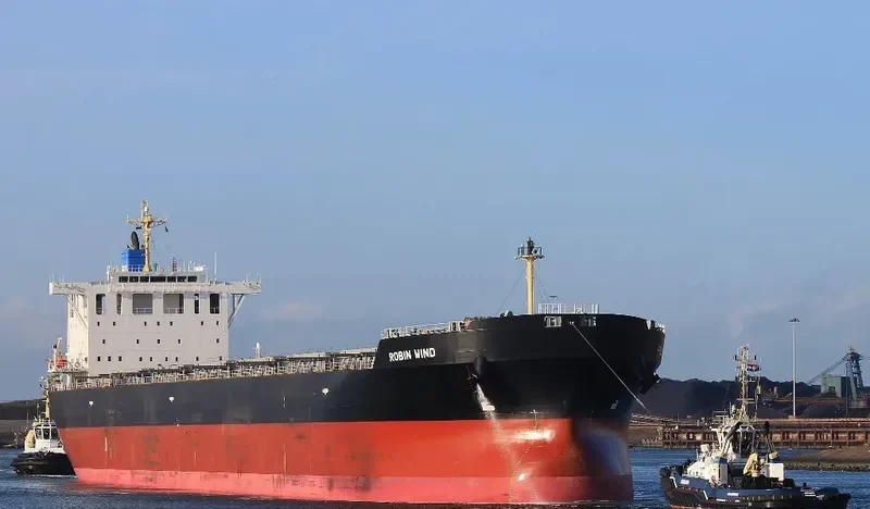 BULK PROMISE Bulk Carrier IMO 9666510 photo 3