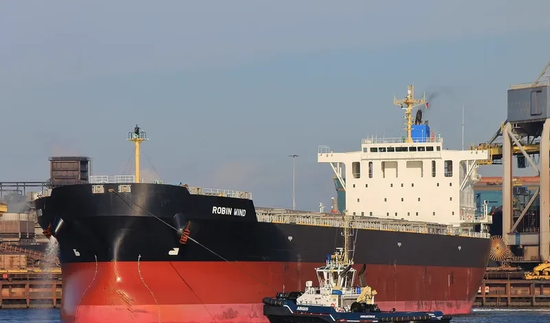 BULK PROMISE Bulk Carrier IMO 9666510 photo 4