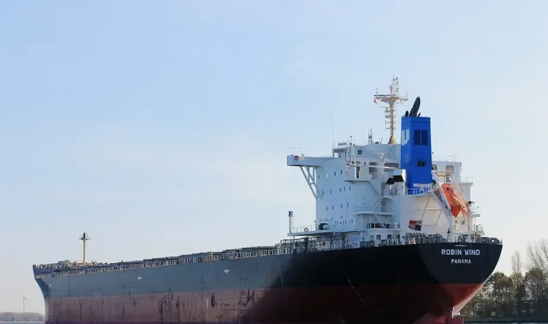 BULK PROMISE Bulk Carrier IMO 9666510 photo 5