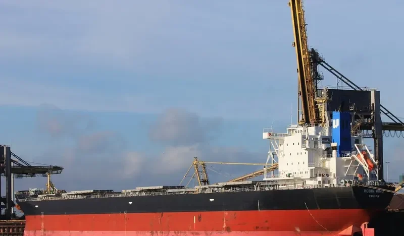 BULK PROMISE Bulk Carrier IMO 9666510 photo 7
