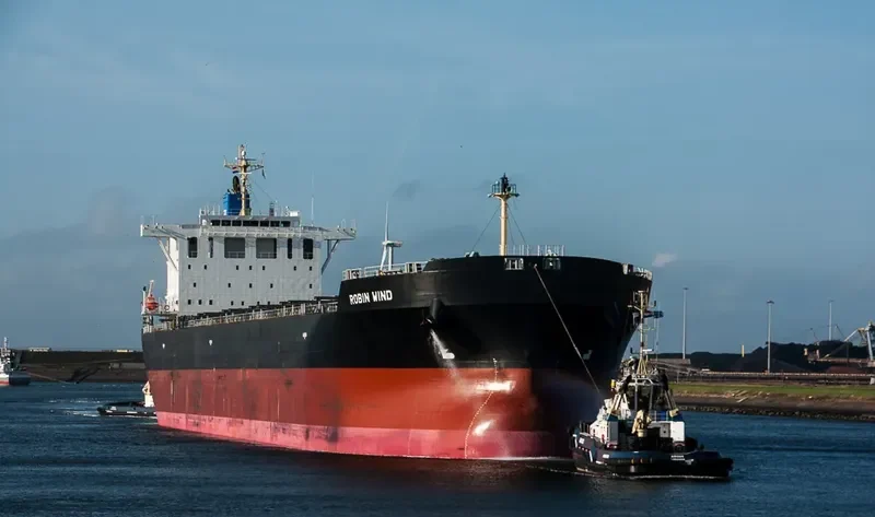 BULK PROMISE Bulk Carrier IMO 9666510 photo 8