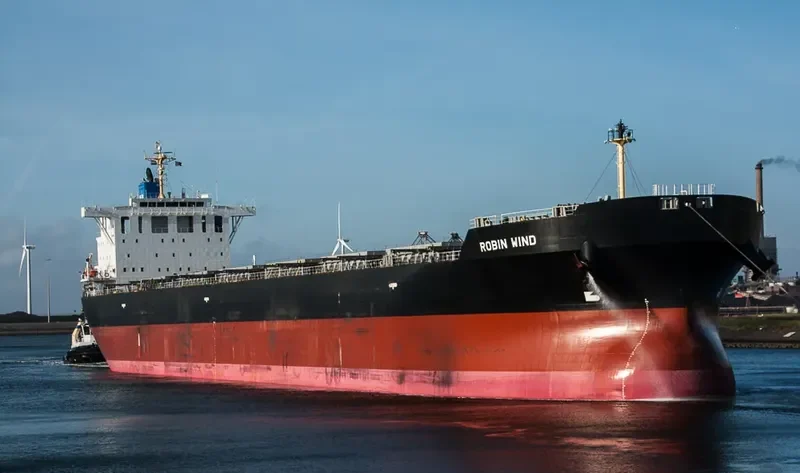 BULK PROMISE Bulk Carrier IMO 9666510 photo 9