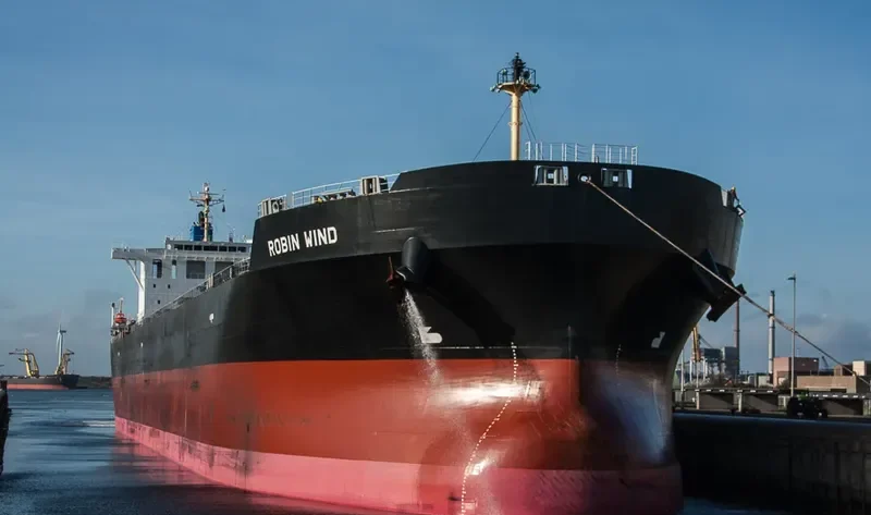BULK PROMISE Bulk Carrier IMO 9666510 photo 10