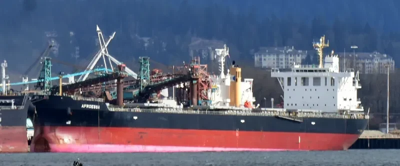 AFROESSA Bulk Carrier IMO 9666522 photo 2