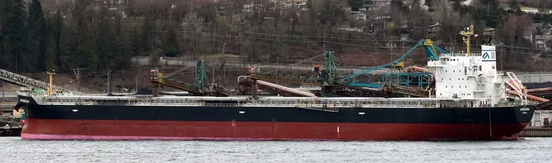AFROESSA Bulk Carrier IMO 9666522 photo 3