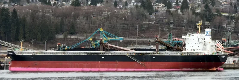 AFROESSA Bulk Carrier IMO 9666522 photo 4