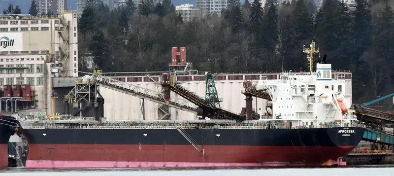 AFROESSA Bulk Carrier IMO 9666522 photo 5