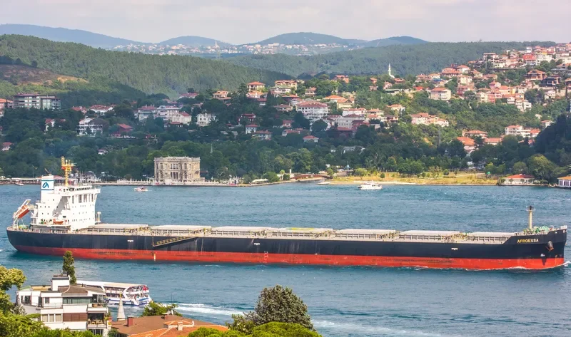 AFROESSA Bulk Carrier IMO 9666522 photo 7