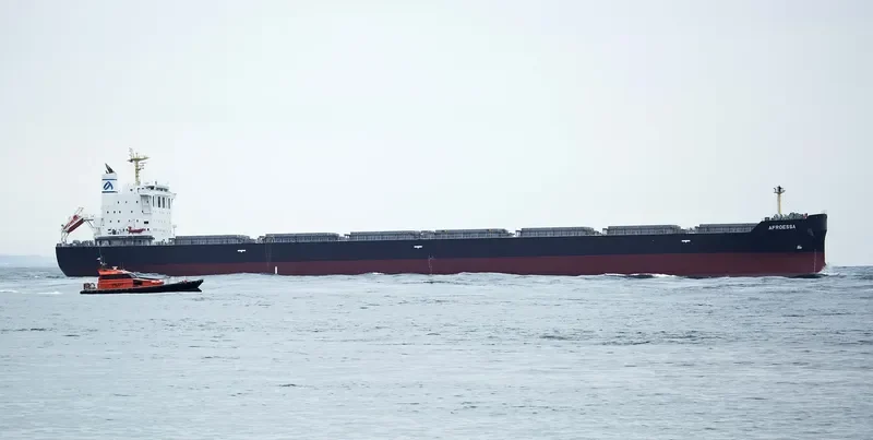 AFROESSA Bulk Carrier IMO 9666522 photo 8