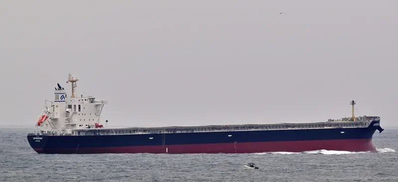 AFROESSA Bulk Carrier IMO 9666522 photo 9