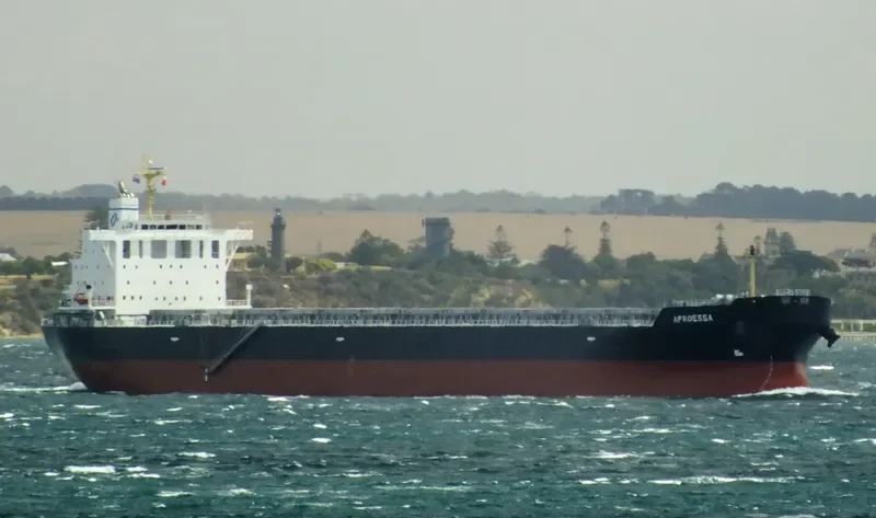 AFROESSA Bulk Carrier IMO 9666522 photo 10