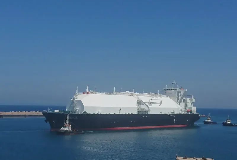 ESSHU MARU General Cargo IMO 9666560 photo 2