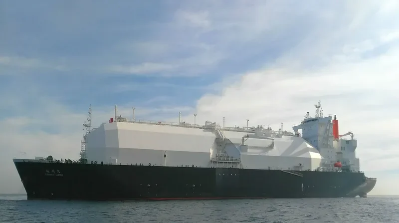 ESSHU MARU General Cargo IMO 9666560 photo 3