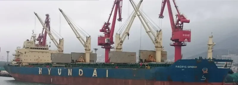 PACIFIC DREAM Bulk Carrier IMO 9666649