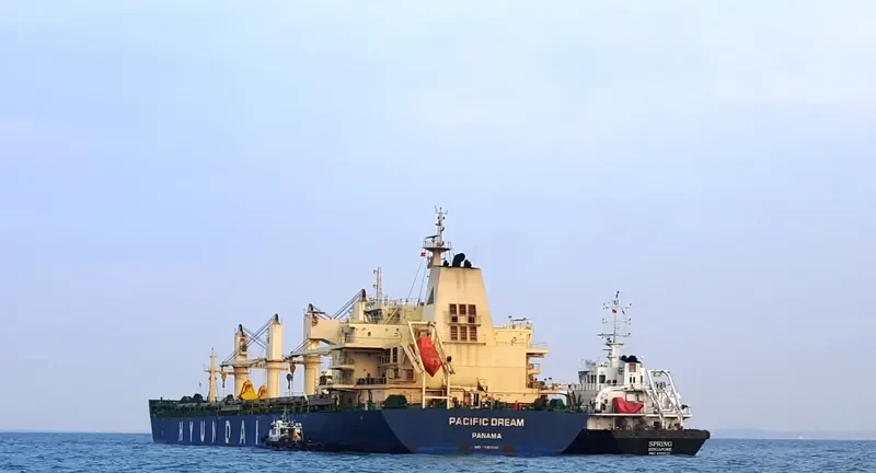 PACIFIC DREAM Bulk Carrier IMO 9666649 photo 2