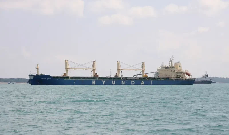 PACIFIC DREAM Bulk Carrier IMO 9666649 photo 3