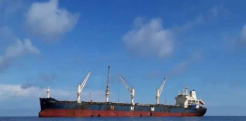 PACIFIC DREAM Bulk Carrier IMO 9666649 photo 4