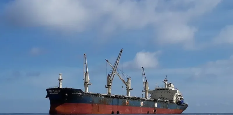 PACIFIC DREAM Bulk Carrier IMO 9666649 photo 5