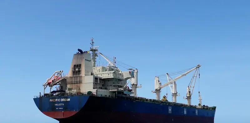 PACIFIC DREAM Bulk Carrier IMO 9666649 photo 6
