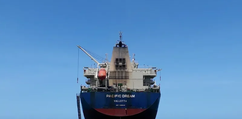 PACIFIC DREAM Bulk Carrier IMO 9666649 photo 7
