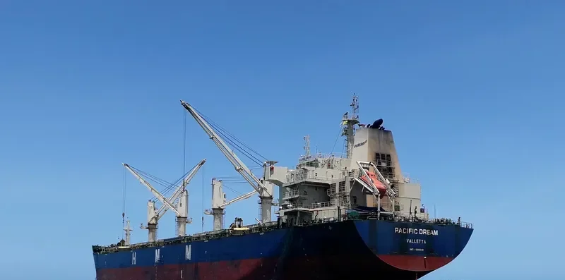 PACIFIC DREAM Bulk Carrier IMO 9666649 photo 8