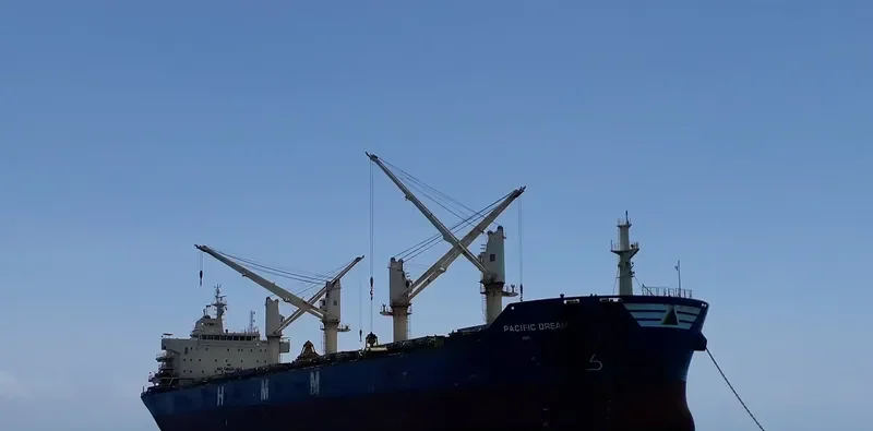 PACIFIC DREAM Bulk Carrier IMO 9666649 photo 9