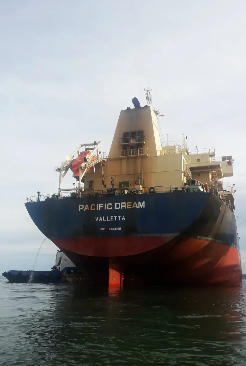 PACIFIC DREAM Bulk Carrier IMO 9666649 photo 10
