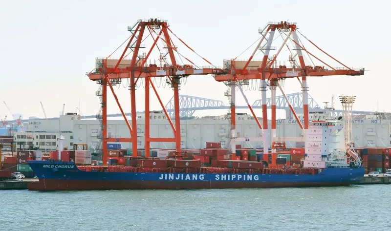 MILD CHORUS Container Ship IMO 9666845 photo 3