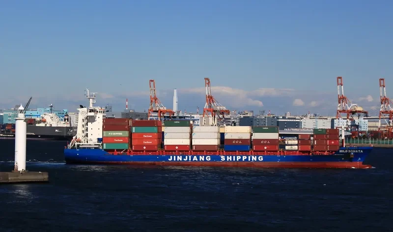 MILD SONATA Container Ship IMO 9666857 photo 3