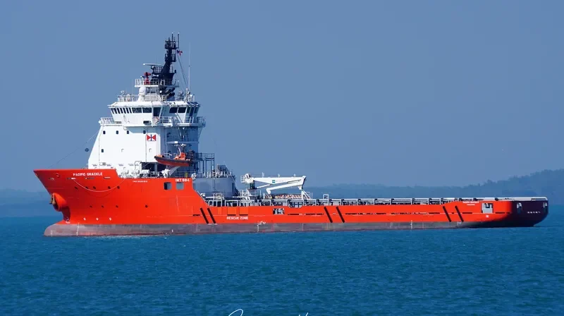 PACIFIC GRACKLE Offshore Vessel IMO 9666912