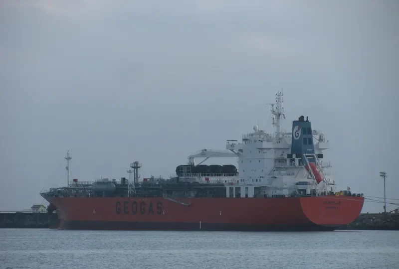 SURVILLE General Cargo IMO 9666974