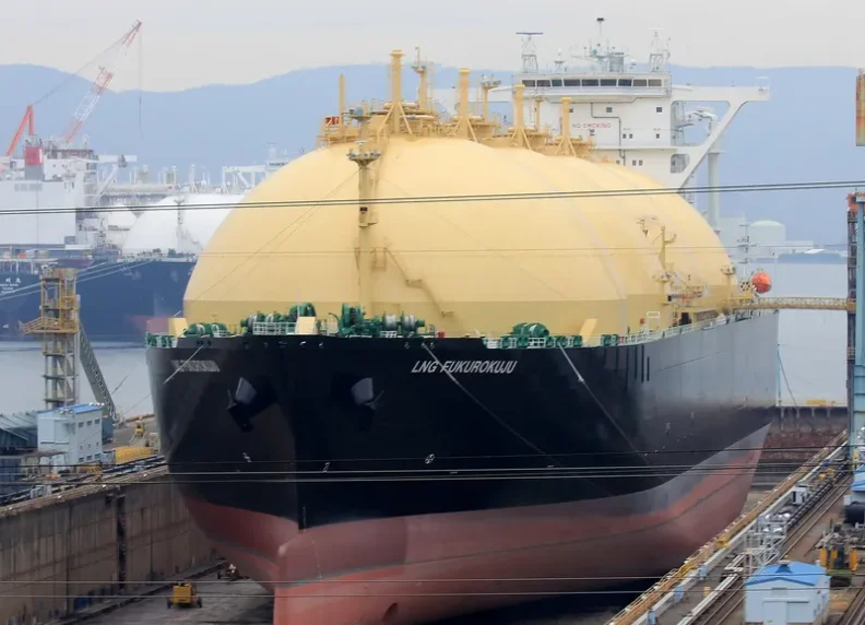 LNG FUKUROKUJU General Cargo IMO 9666986